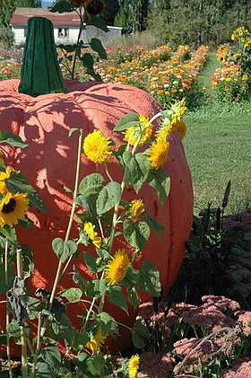 Photo detail