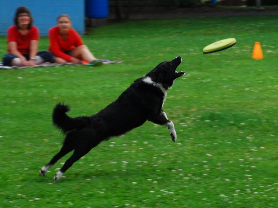 photo thumbnail