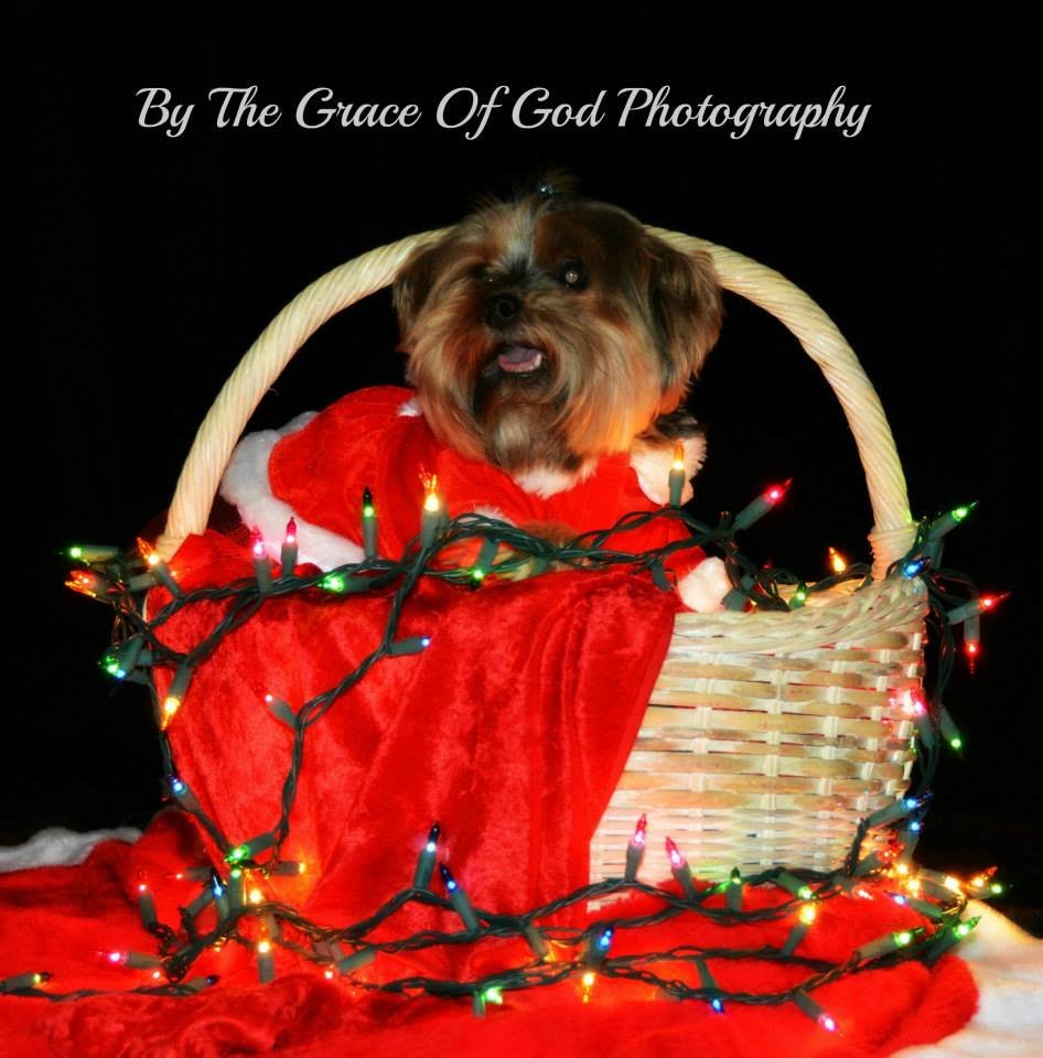 photo thumbnail