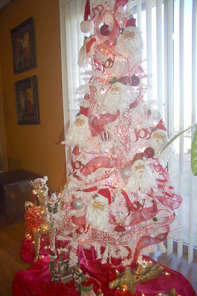 christmas trees galore daily sun news christmas trees galore daily sun news