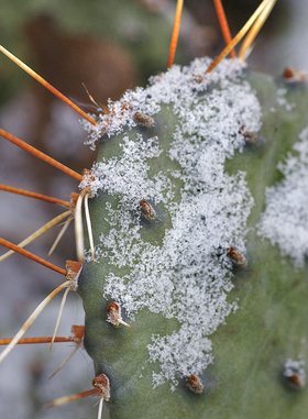 Photo detail