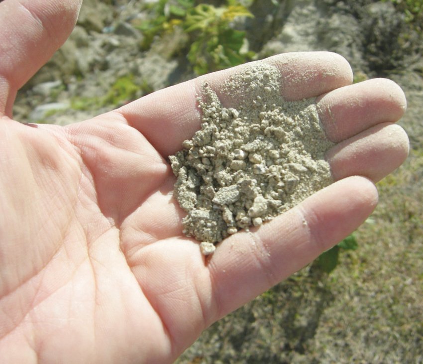 photo thumbnail