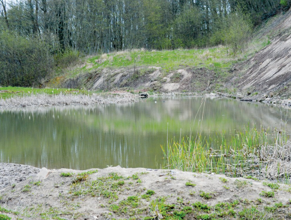 photo thumbnail
