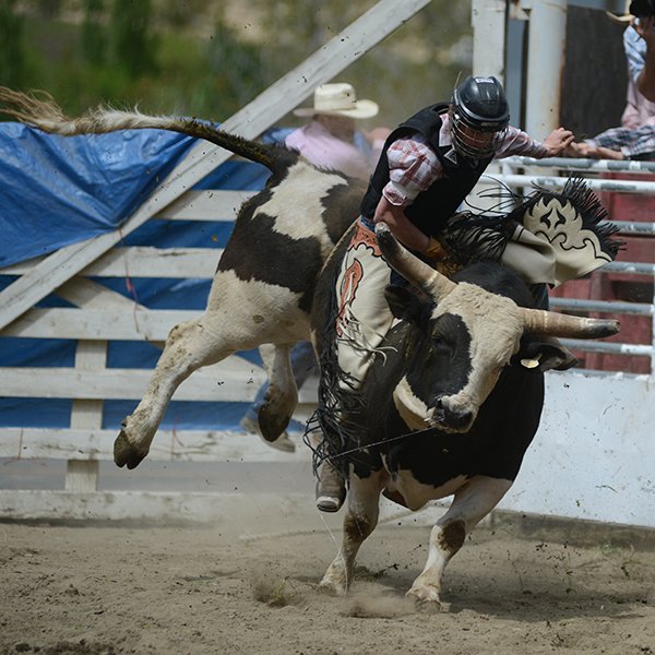 Riggins Rodeo Idaho County Free Press