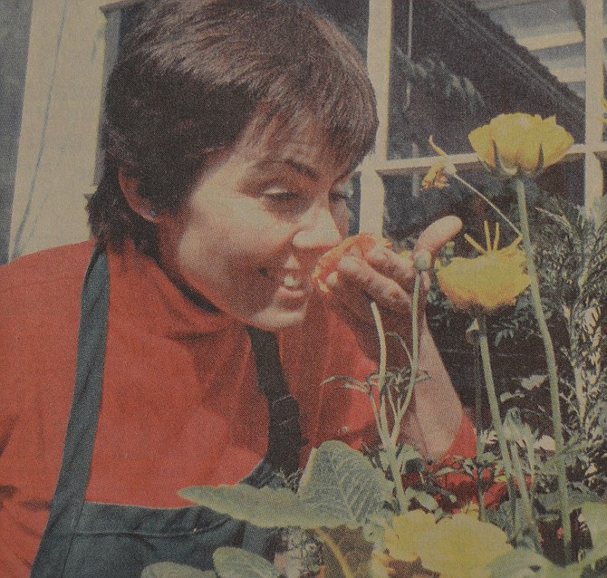 Photo detail