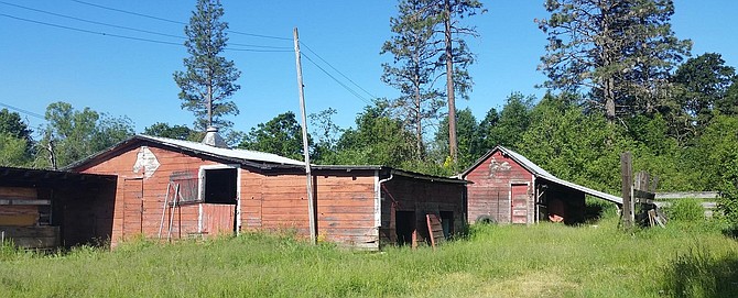 Photo detail
