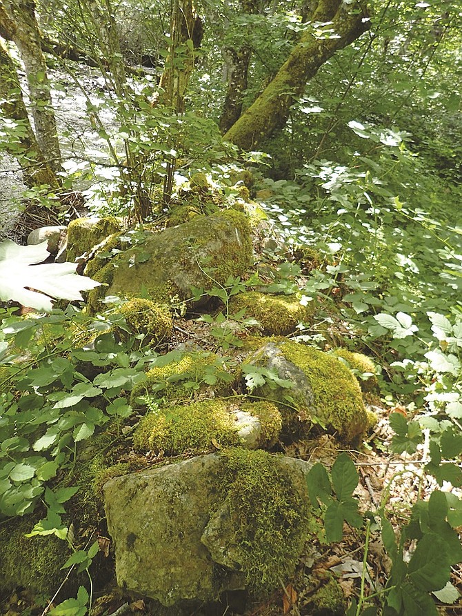 Photo detail